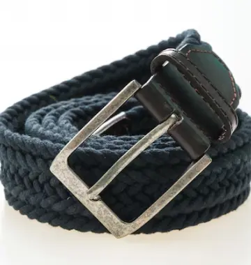 Pleated belt